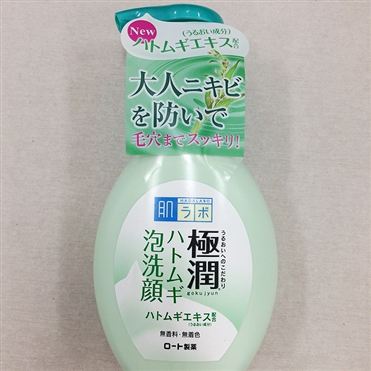 おうちでイオン イオンネットスーパー ロート製薬 肌研 ハダラボ 極潤ハトムギ泡洗顔 160ml