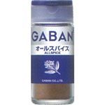 ハウス食品 GABAN オールスパイスパウダー 16g