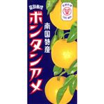 セイカ食品 南国特産 ボンタンアメ 14粒入