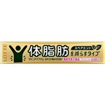 ロッテ マイニチケアガム 体脂肪を減らすタイプ スペアミント（機能性表示食品）14粒入