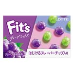 ロッテ Fits グレープミックス 12枚入