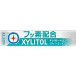 ロッテ キシリトールガム＋フッ素（ペパーミント）14個入