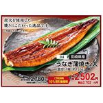 【土用の丑】【N004】宮崎県産うなぎ蒲焼き 大（真空）1尾（約155g）
