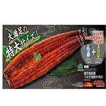 【土用の丑】【N001】トップバリュグリーンアイ鹿児島県産うなぎ蒲焼き 特大1尾（約210g）
