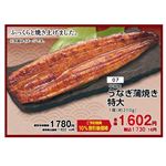 【土用の丑】【N007】中国産うなぎ蒲焼き 特大1尾（約210g）