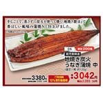 【土用の丑】【N006】鹿児島県産地焼き炭火うなぎ蒲焼き 中（真空）1尾（約120g）