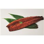 【11／20（木）～11／24（月）配送限定】鹿児島県産 うなぎ蒲焼（特大）1尾