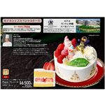 【クリスマス】【A02】ホテルモントレ 沖縄スパ＆リゾートPlaisir プレジール5号