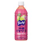 沖縄バヤリース南国グァバ PET500ml