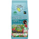 トップバリュ グリーンアイ オーガニック フェアトレードコーヒー グアテマラブレンド粉 180g