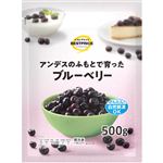 トップバリュベストプライス ブルーベリー 500g