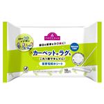 トップバリュ 家事のプロ推しカーペットやラグ用重曹電解水シート 18枚