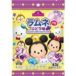トップバリュ ディズニーラムネ（ぶどう味）43g