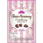 トップバリュ トキメクおやつ部 Choco Harmony クランベリー 35g