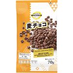トップバリュベストプライス 麦チョコ 70g