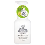 【泡タイプ】トップバリュベストプライス 薬用泡ハンドソープ グリーンシトラスの香り 本体 250ml