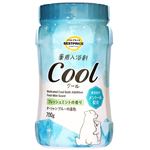 トップバリュベストプライス 薬用入浴剤クール 700g