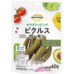 トップバリュベストプライス サラダトッピング ピクルスガーキン 40g