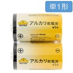トップバリュベストプライス アルカリ乾電池 単1形 2個入 LR20BP2／2S