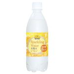 トップバリュベストプライス Sparkling Water 炭酸水 レモン 500ml