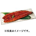 九州産 うなぎ蒲焼き（真空）1尾