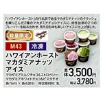 【クリスマス】【M43】【冷凍】ハワイアンホースト マカダミアナッツアイス8個入り