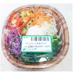 【宮古・石垣は15時以降配送限定】ポテトとフレッシュ野菜のサラダ（ドレッシング抜き）1パック