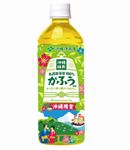 【7／10（木）～7／14（月）配送限定】沖縄伊藤園 沖縄緑茶かふう 525ml