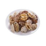 【冷凍】殻付きあさり 中国産などの国外産 250g