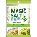 ヱスビー食品 袋入りマジックソルト オリジナル 20g
