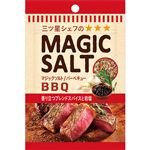 エスビー食品 袋入りマジックソルト バーベキュー 20g