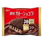 江崎グリコ 神戸ショコラ 濃厚ガトーショコラ 81ml