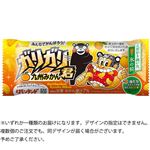 ★赤城乳業 ガリガリ君 九州みかん 105ml