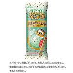 赤城乳業 ガリガリ君リッチ革新のチョコミント 100ml