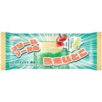 赤城乳業 クリームソーダのうまいとこ 80ml