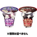 ★赤城乳業 フロリダサンデー 210ml