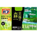 花王 バブ 至福の森めぐり浴 12錠