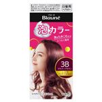 花王 ブローネ 泡カラー 3B ボルドーブラウン 1個
