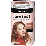 花王 ブローネ ルミエスト ヘアカラー 1WB ウォームブラウン 108g
