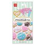 共立食品 アイシングシュガーペン11g×3
