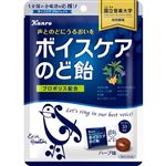 カンロ ボイスケアのど飴 70g