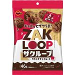 ブルボン ザクループ 46g