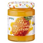 カンピ― Fruits×Fruits パインアップル 260g