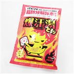 バイソン 爆汗湯 ホットジンジャーの香り 60g