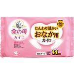 小林製薬 命の母 カイロ じんわり温かい おなか用カイロ 10枚入