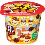 カバヤ プチプリンチョコ 34g