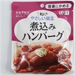 キユーピー やさしい献立 煮込みハンバーグ 100g