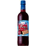 氷と 無添加ワイン濃赤720 720ml
