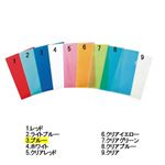 トップバリュ クリアホルダーA4（ブルー）