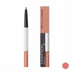 資生堂 インテグレート リップフォルミングライナー PK750